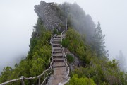 世界举重康复在线课堂优秀课堂提案征集进入评审，世界举重锦标赛央视